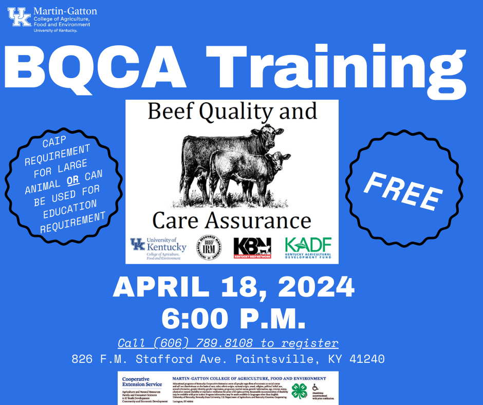 BQCA Training