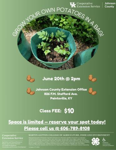 Potatoes in a bag Flyer